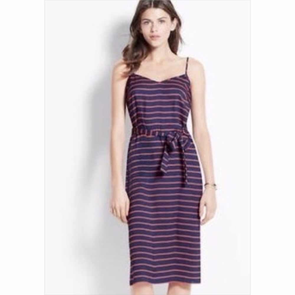 Ann Taylor Red & Navy Nautical Rope Print Dress